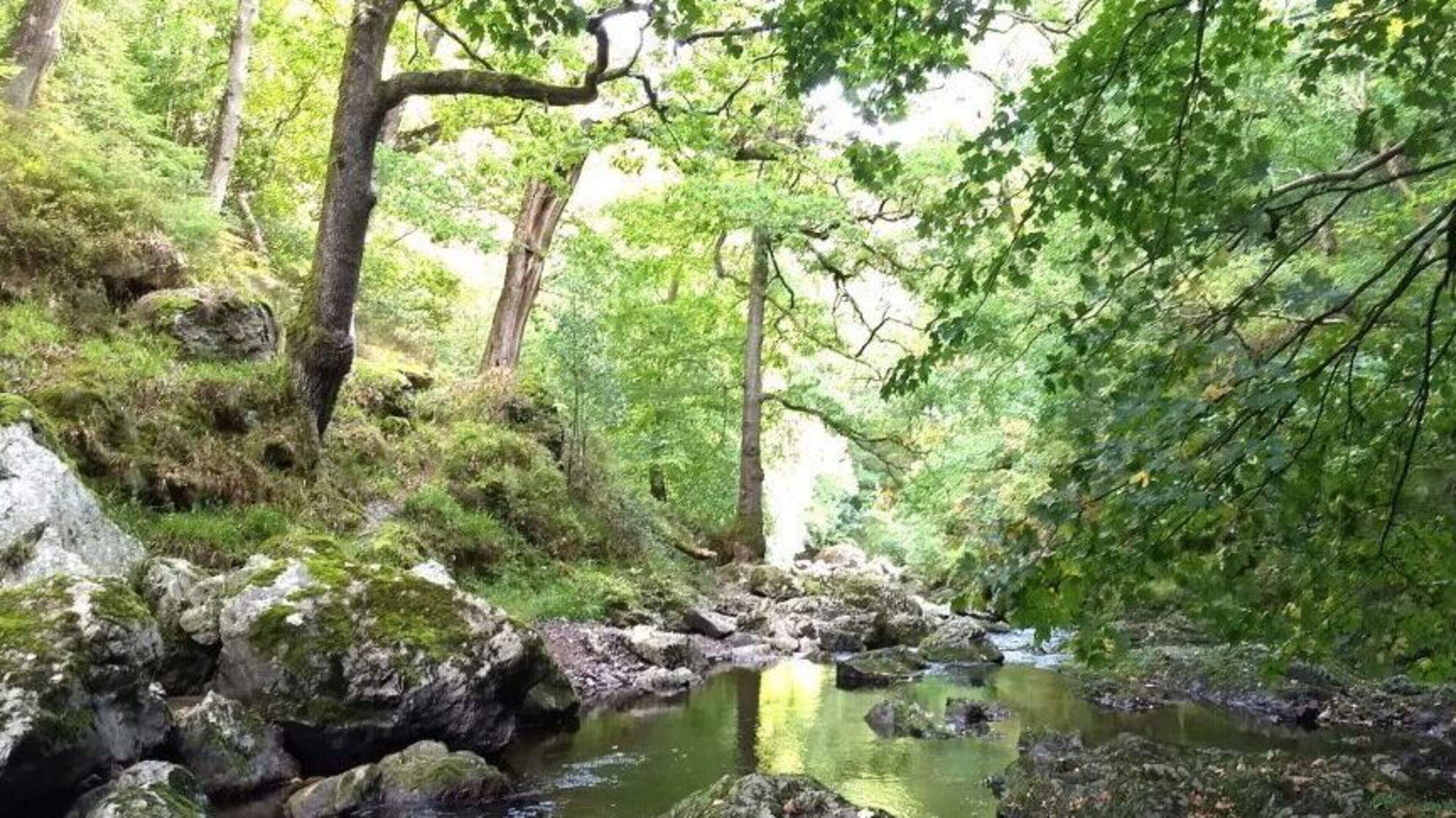 €90,000 flood risk grant for Wicklow raises questions over what sites will be prioritised